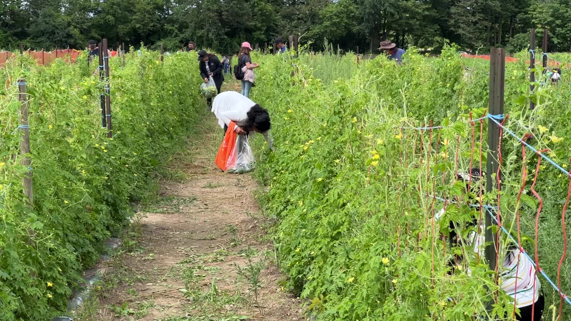 Agriculture in Canada