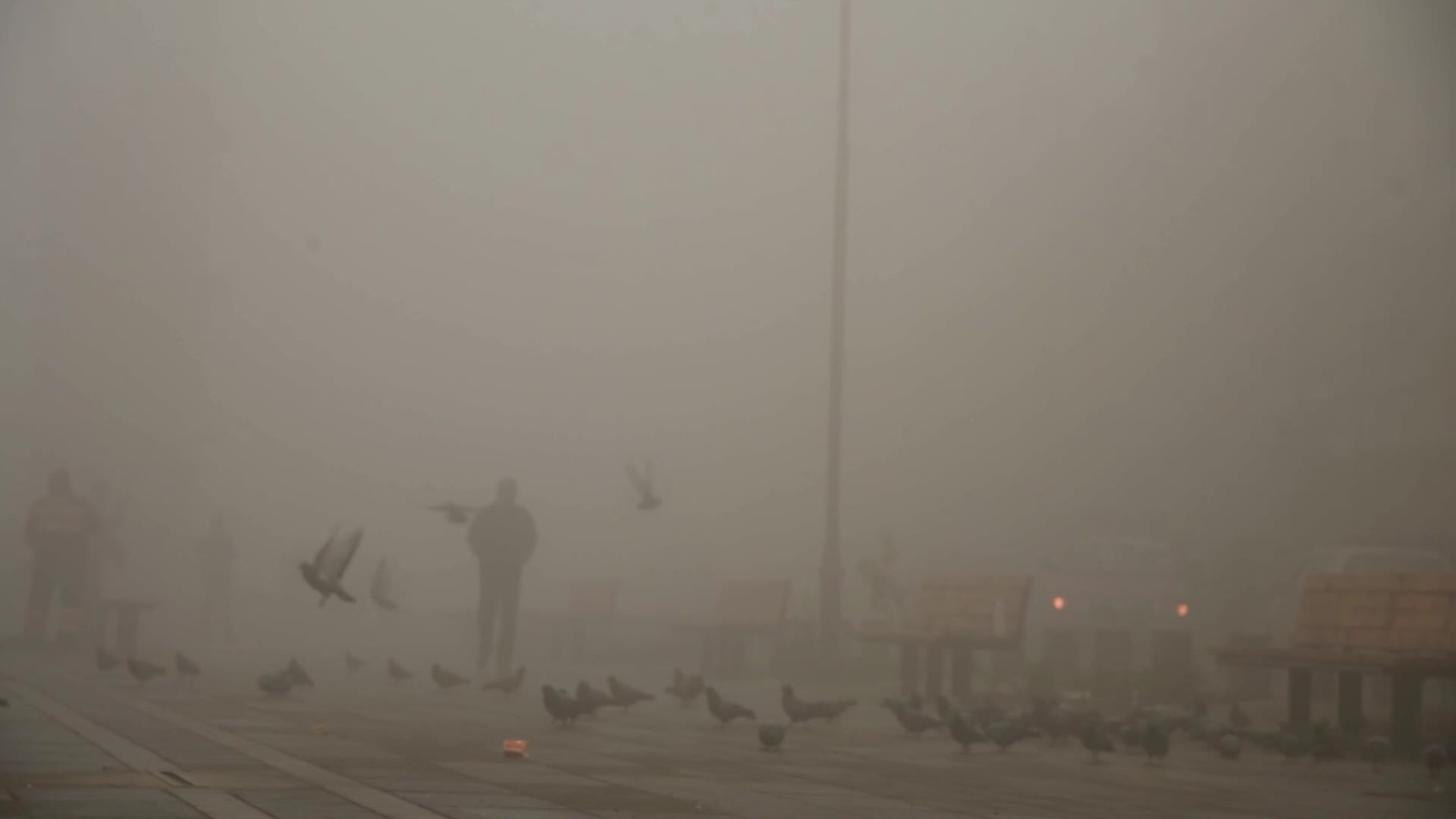 Dense fog engulfs Kashmir amid freezing cold