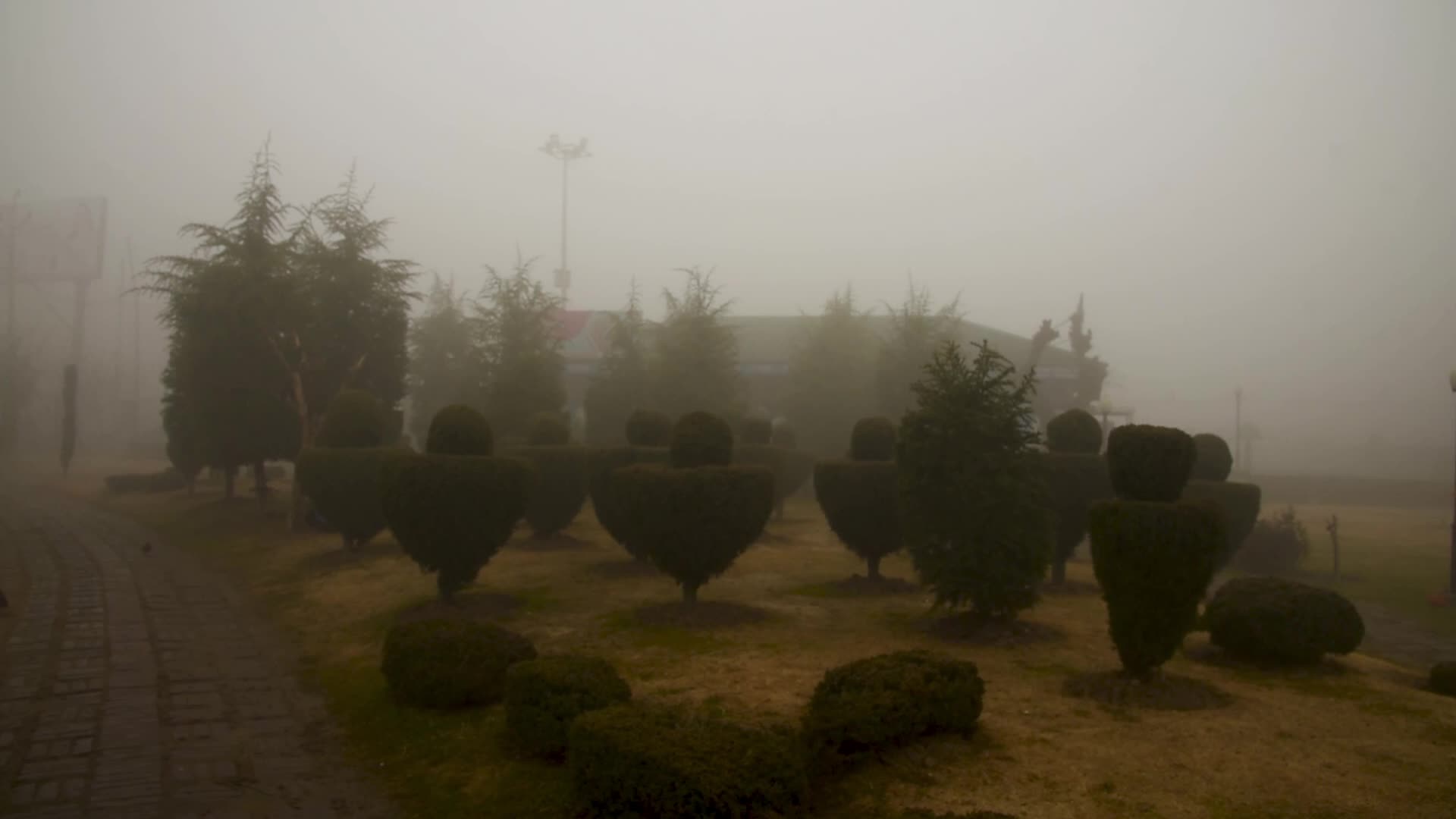 Dense fog engulfs Kashmir amid freezing cold
