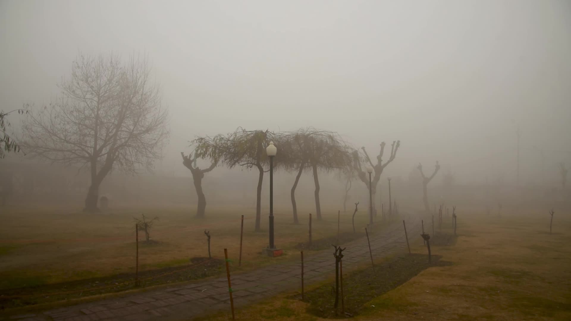 Dense fog engulfs Kashmir amid freezing cold