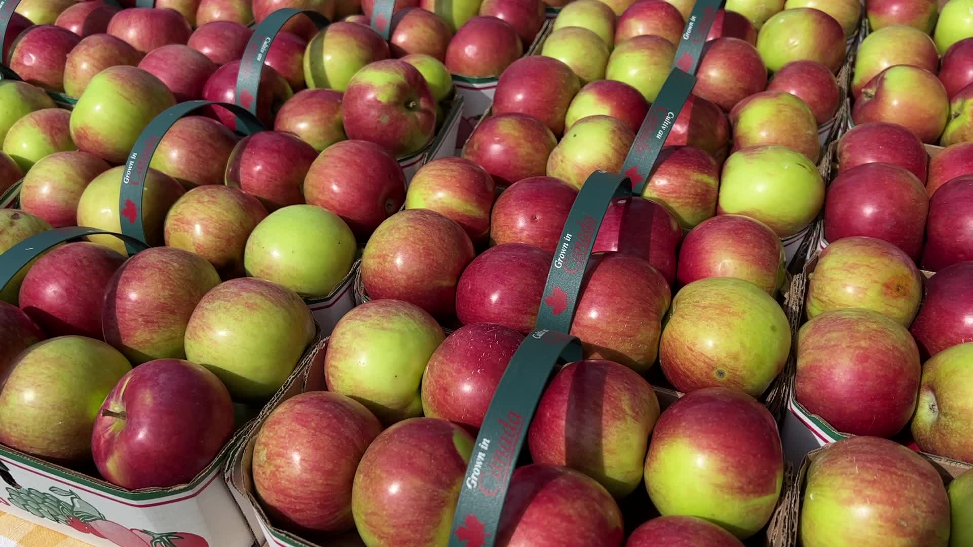 Apple Festival in Markham