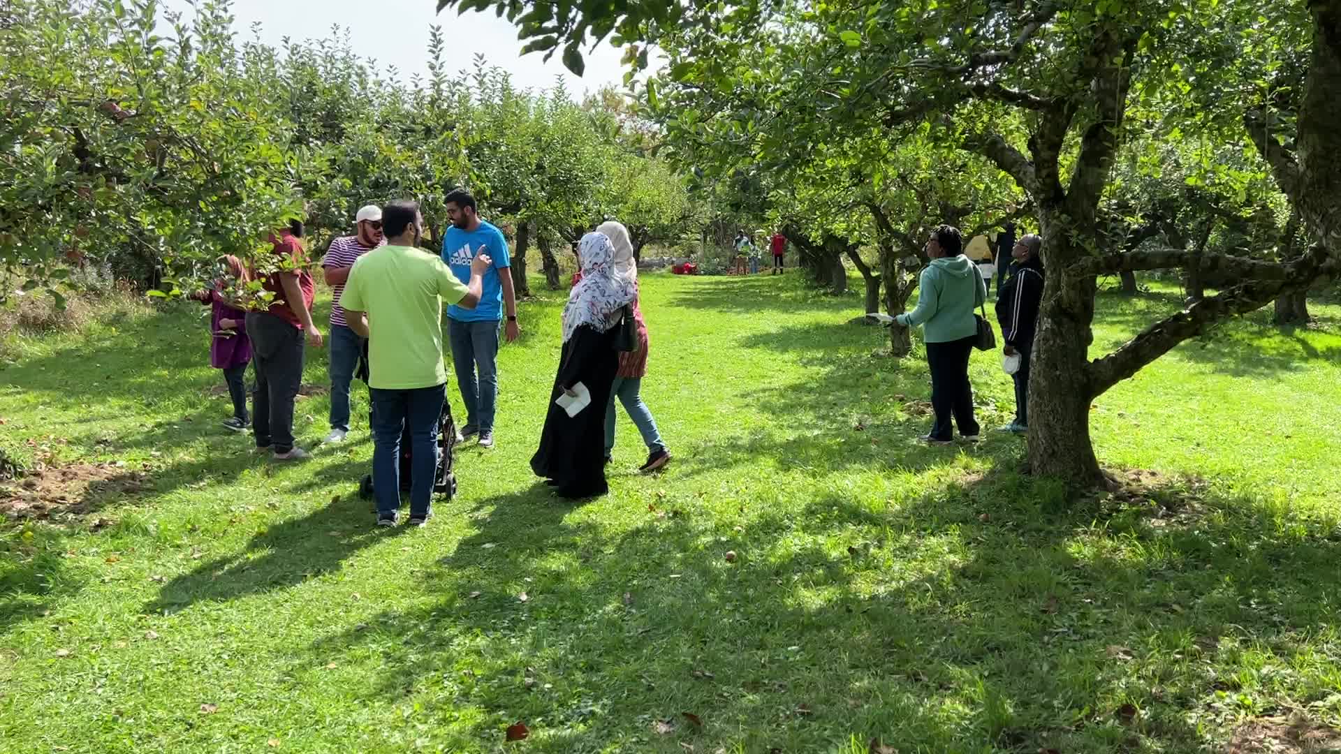 Apple Festival in Markham