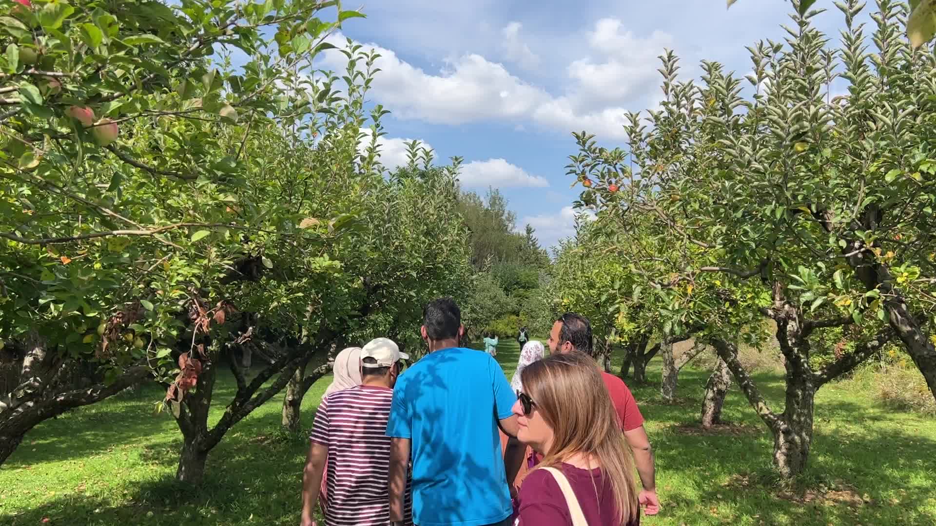 Apple Festival in Markham