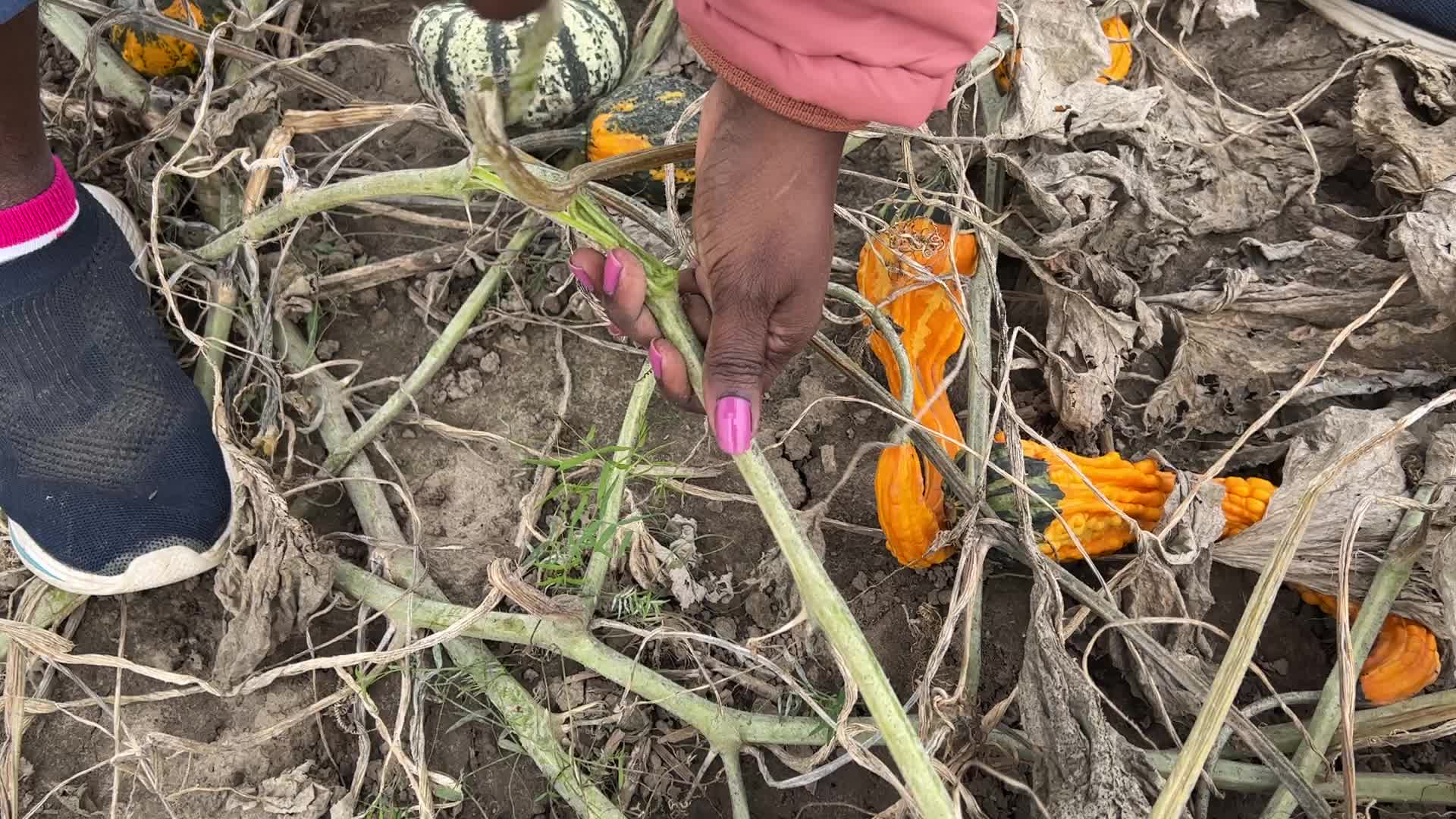 Agriculture in Canada