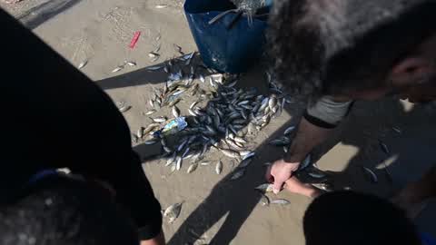 Palestinian Fishermen In Gaza