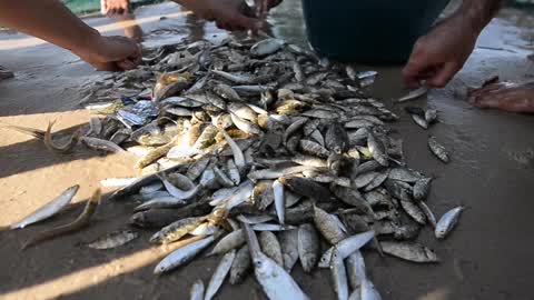 Palestinian Fishermen In Gaza