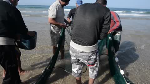 Palestinian Fishermen In Gaza