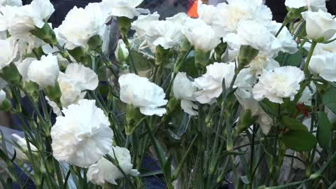 Barcelona: act in tribute to the victims of the terrorist attack of 2017