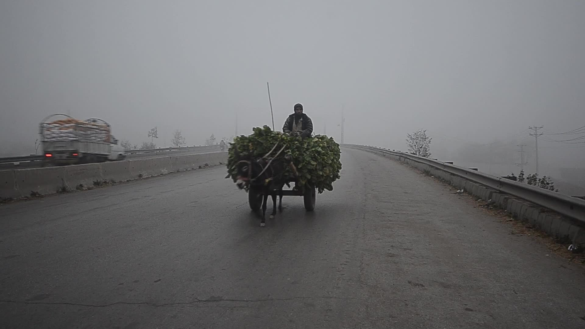 Dense fog covers Peshawar as temperatures drop