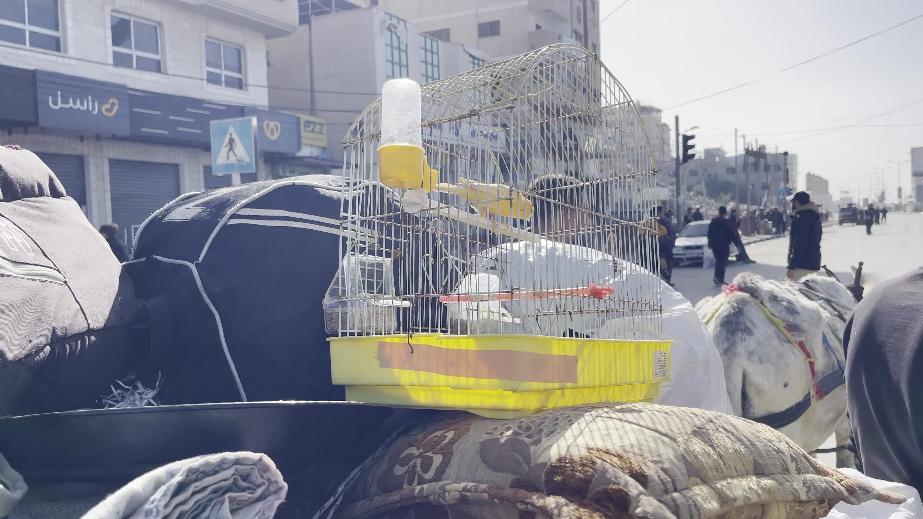 Aftermath of Israeli Airstrike In Gaza, Palestine