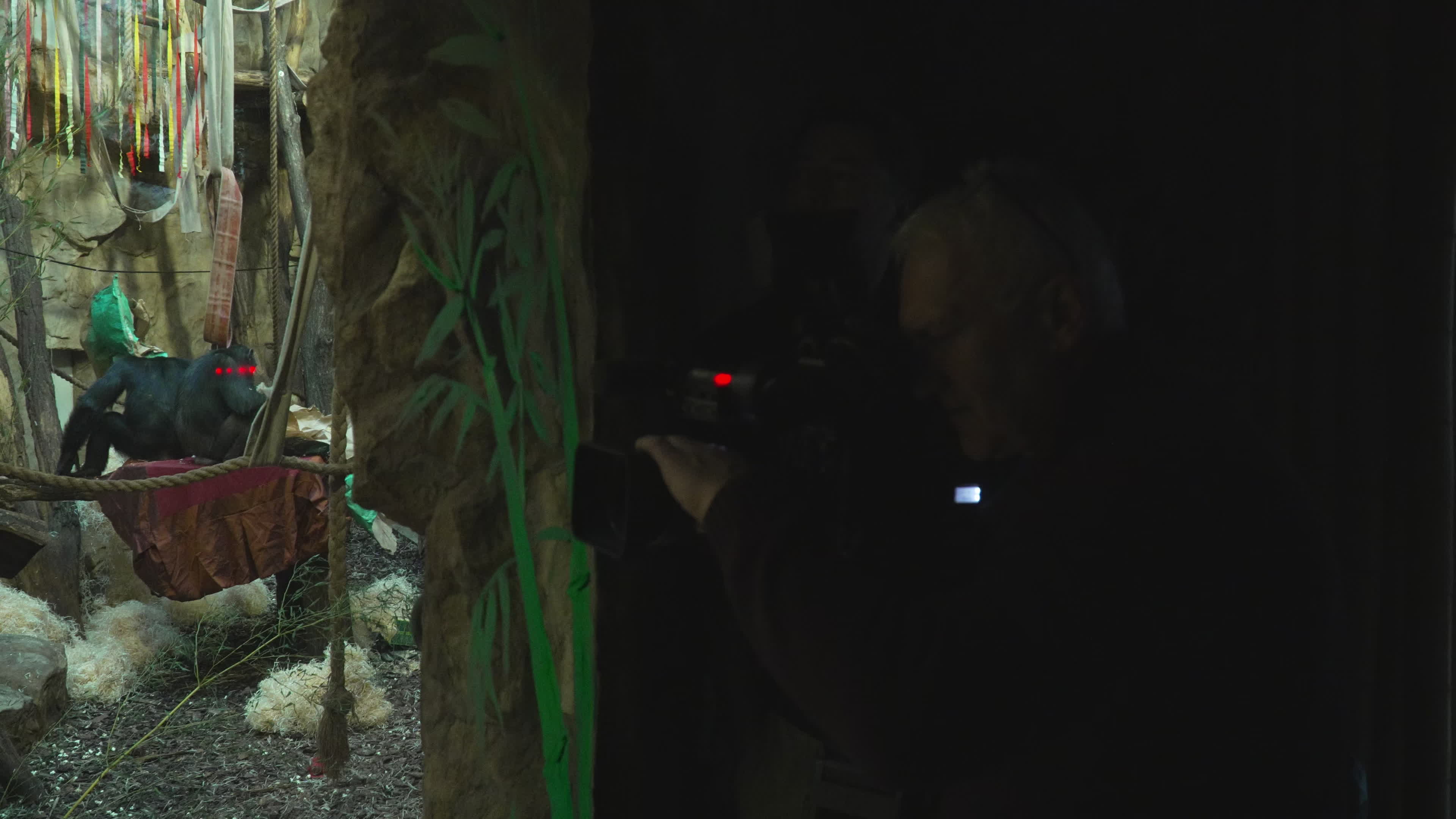 Natively born chimpanzee celebrates 10th birthday in Warsaw Zoo