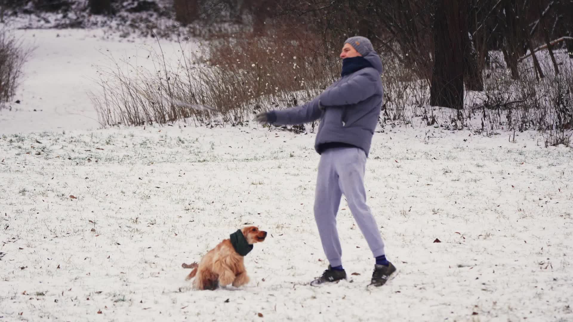 Poland Snow