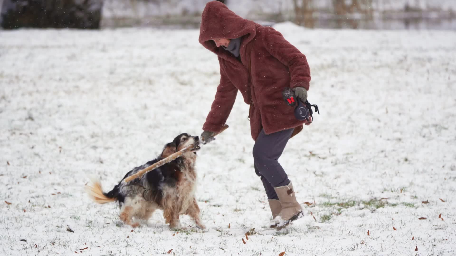 Poland Snow