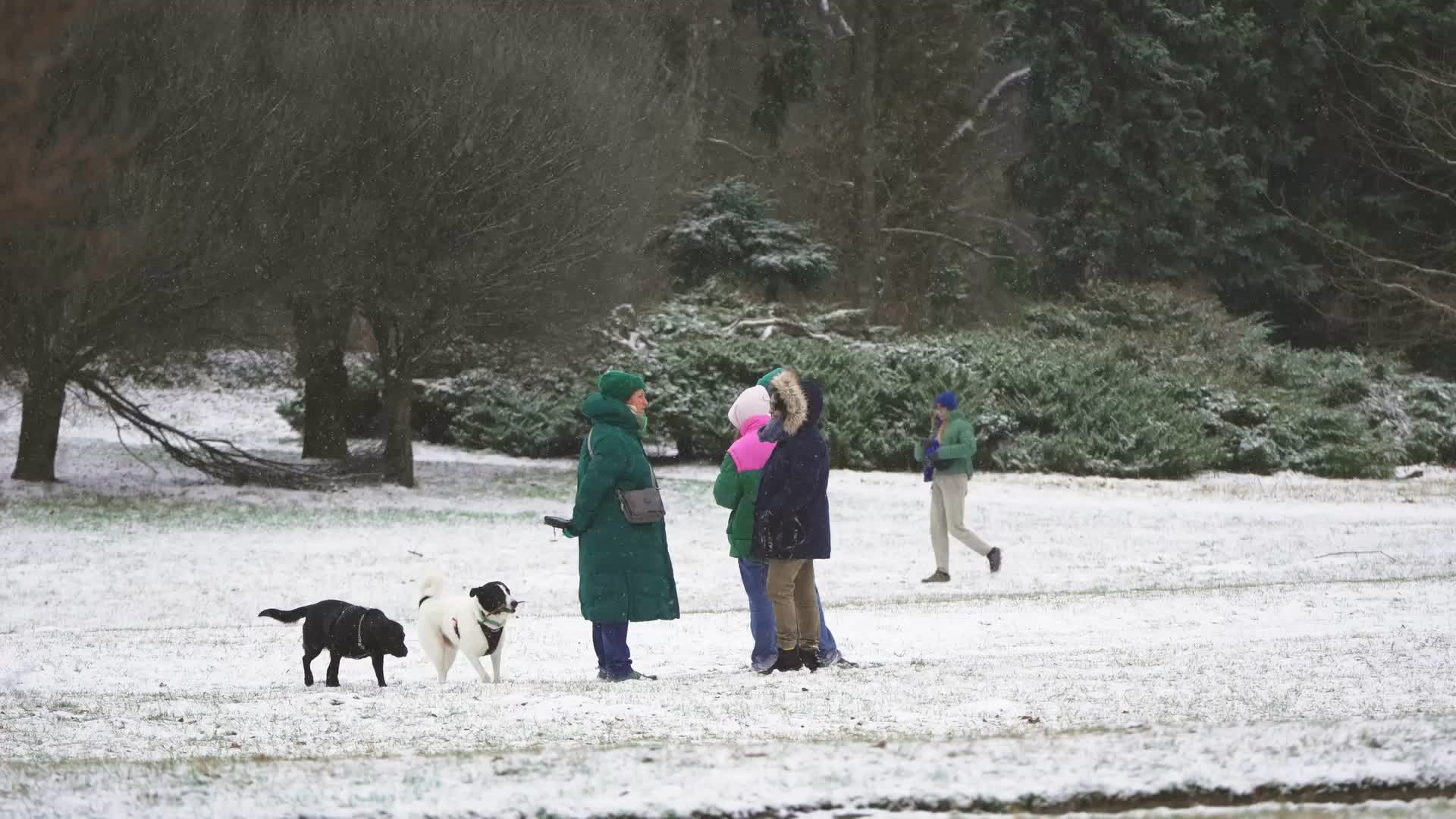 Poland Snow