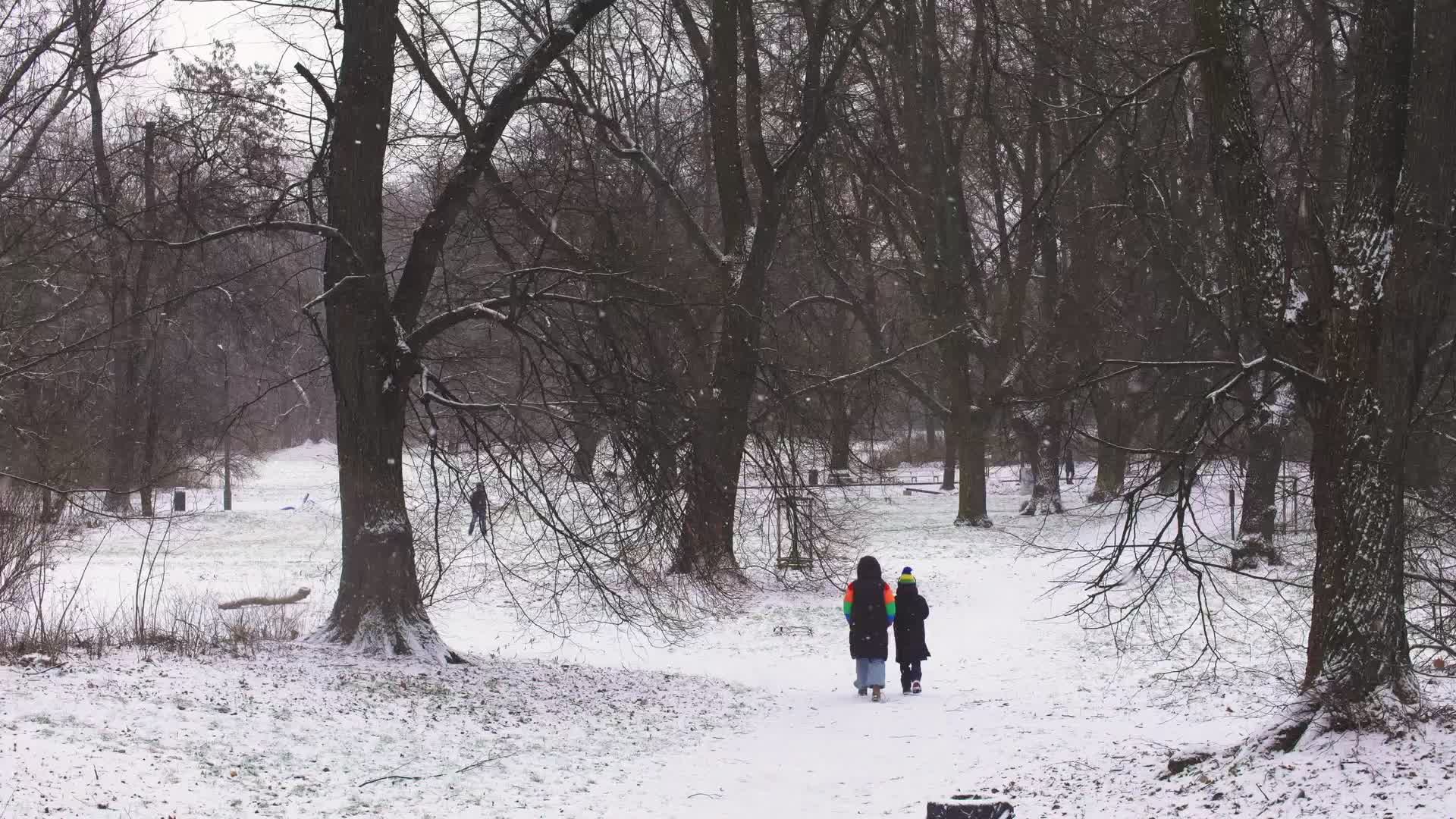 Poland Snow