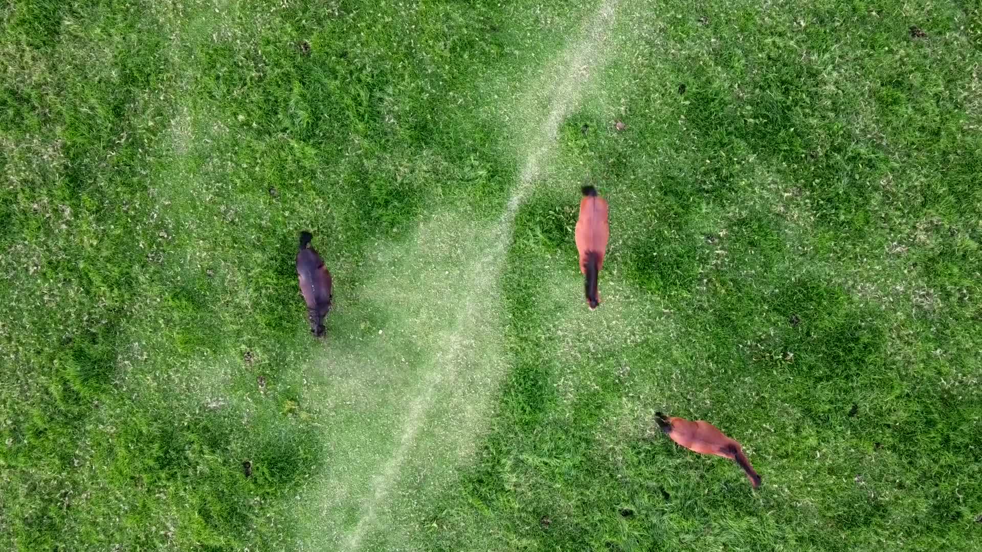 Aerial Shots of Bogota