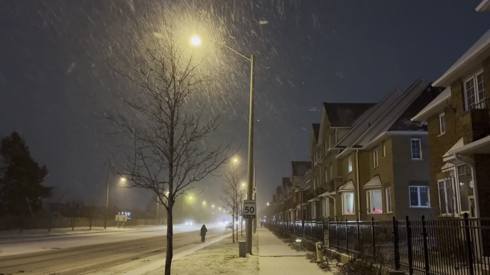 Snowfall in Toronto, Canada
