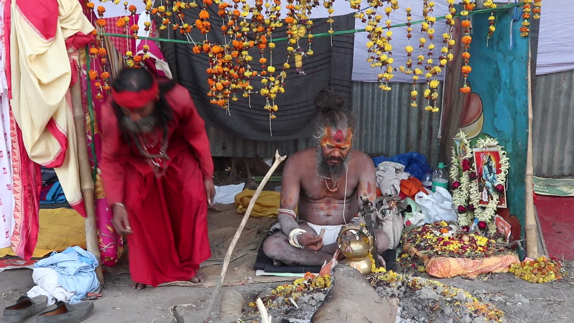 Gangasagar fair 2024.