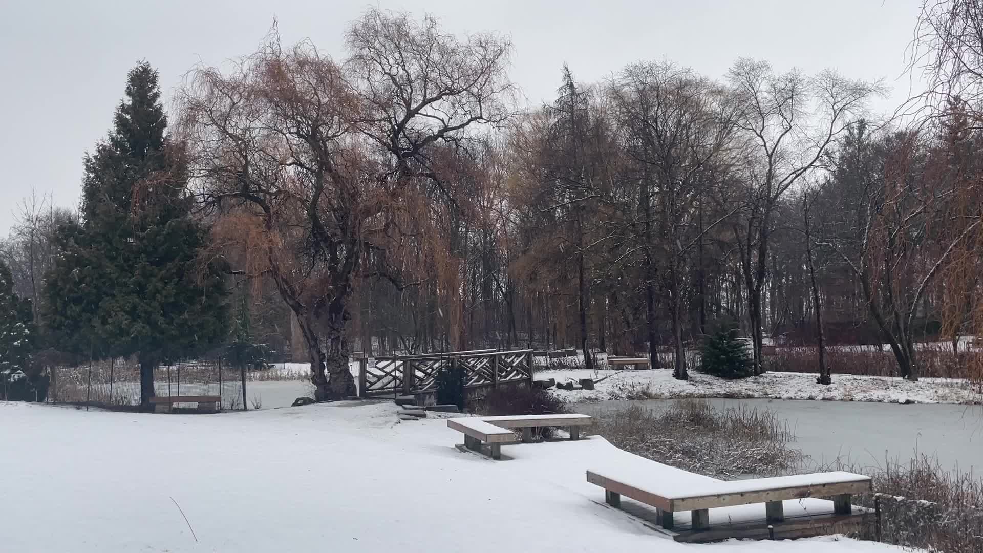 Snowstorm hitting in Toronto, Canada 
