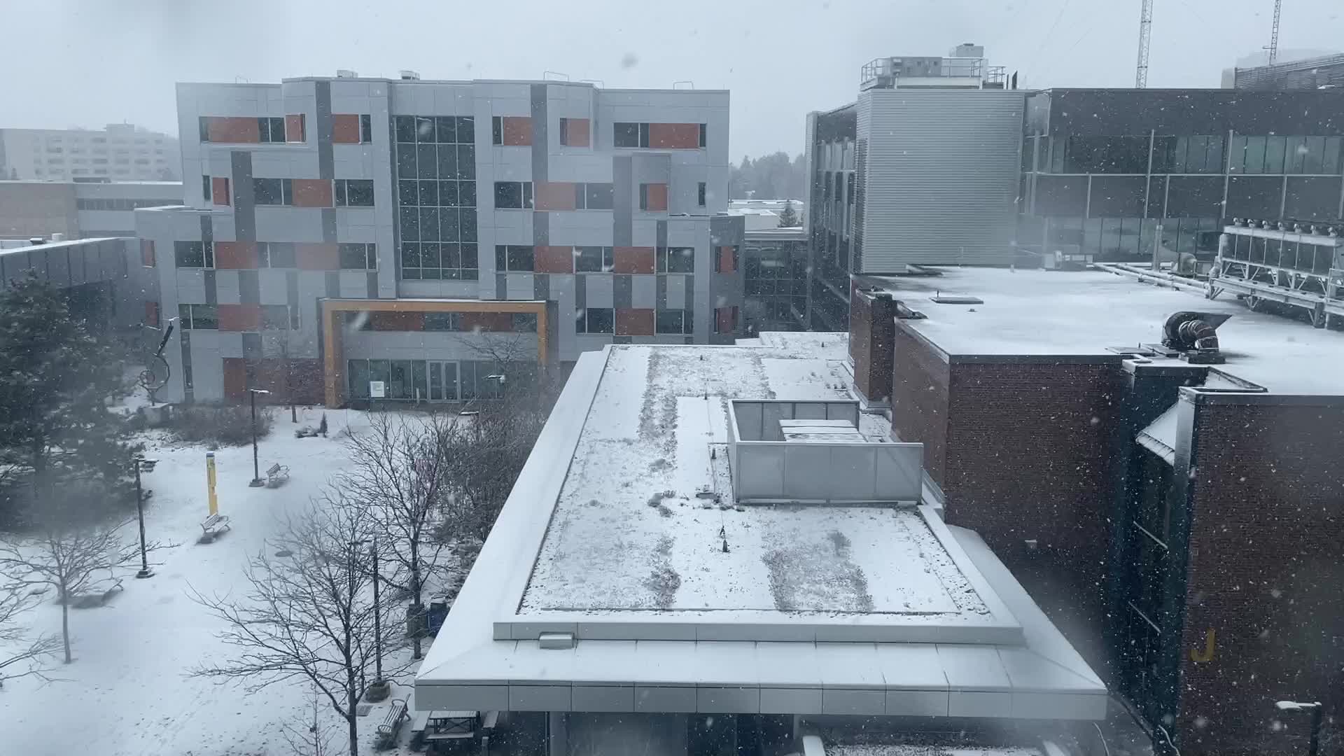Snowstorm hitting in Toronto, Canada 
