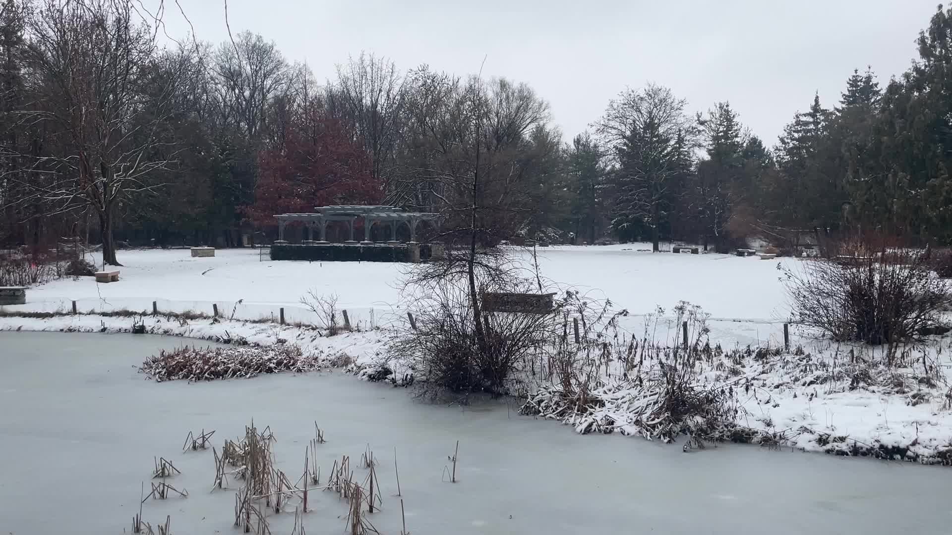 Snowstorm hitting in Toronto, Canada 