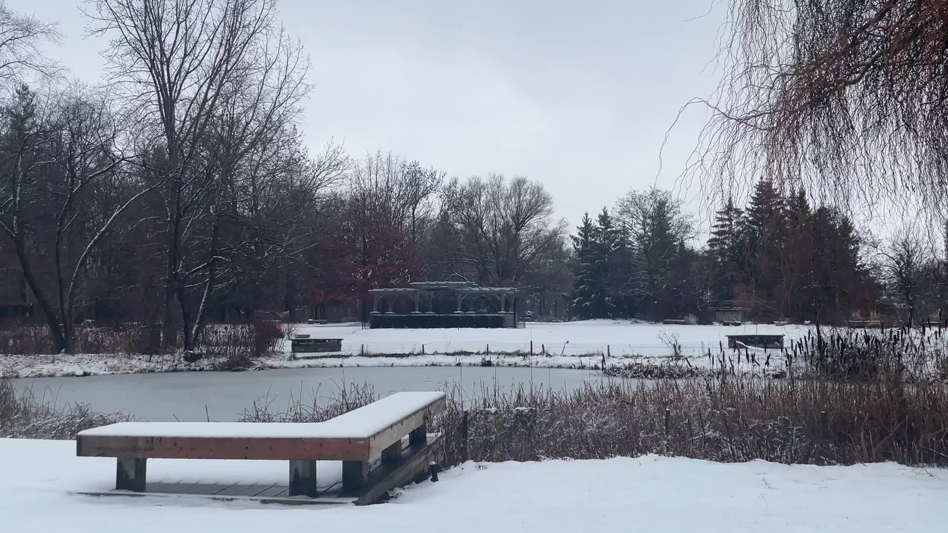 Snowstorm hitting in Toronto, Canada 