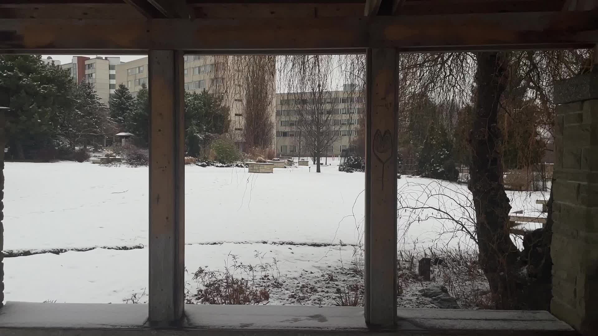 Snowstorm hitting in Toronto, Canada 
