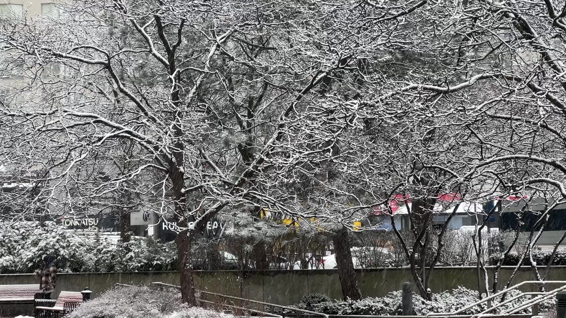Snow flurries in Toronto, Canada