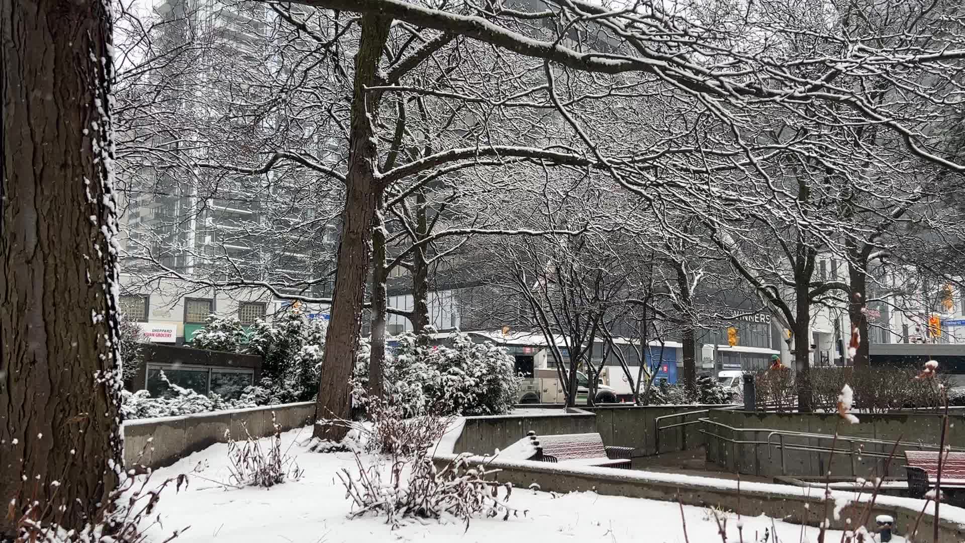 Snow flurries in Toronto, Canada