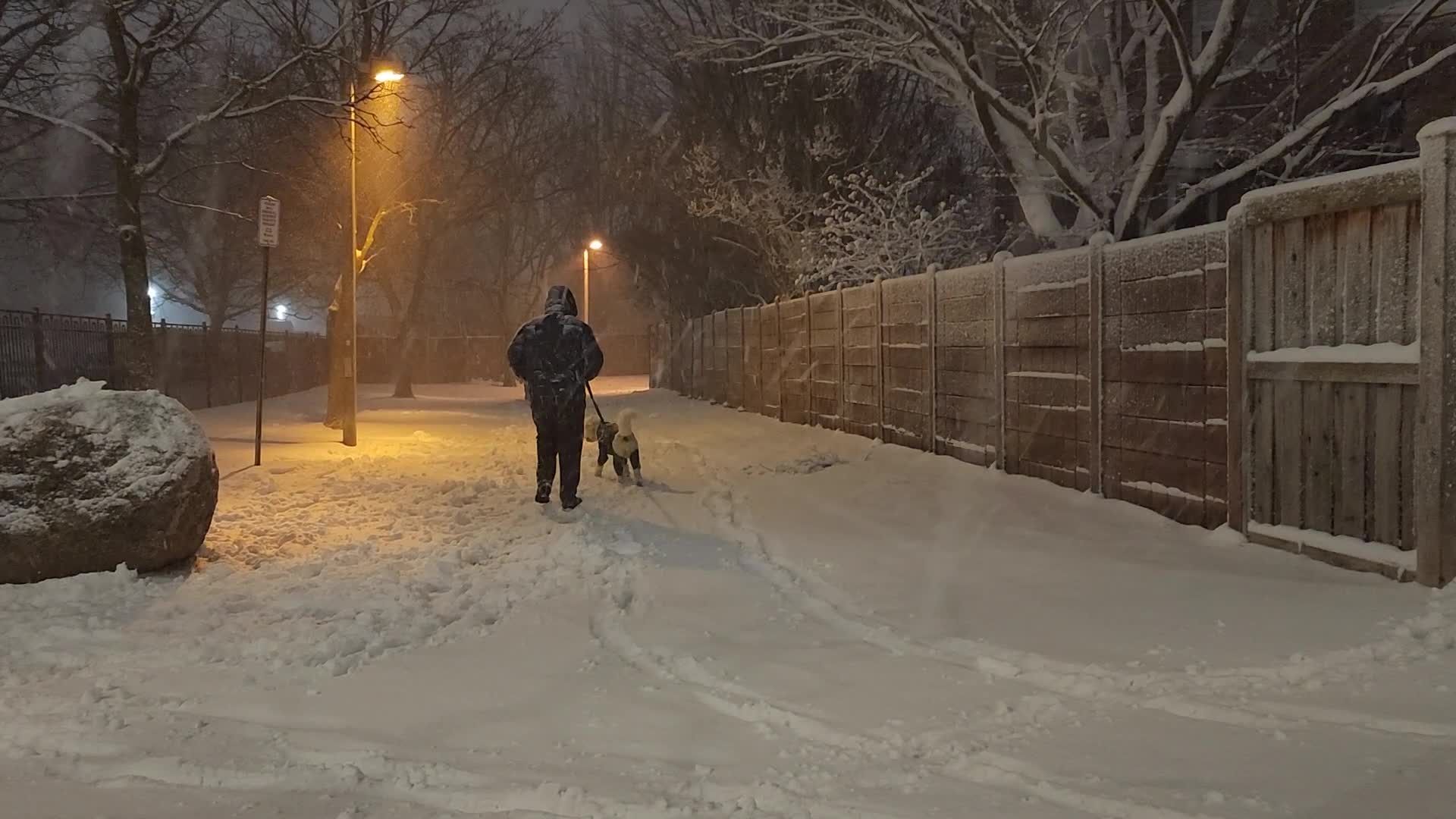 Massive blizzard in Toronto, Canada
