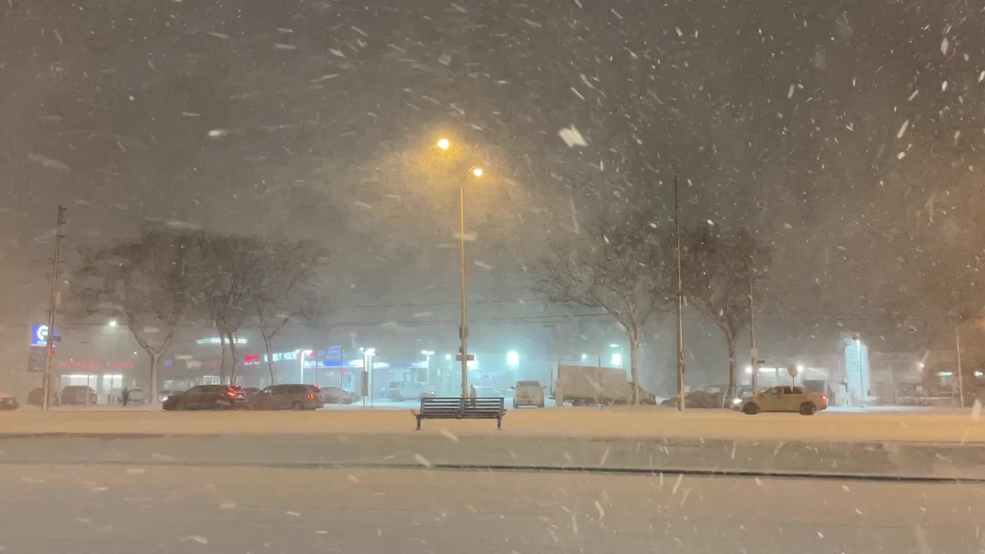 Snowstorm in Toronto, Canada 