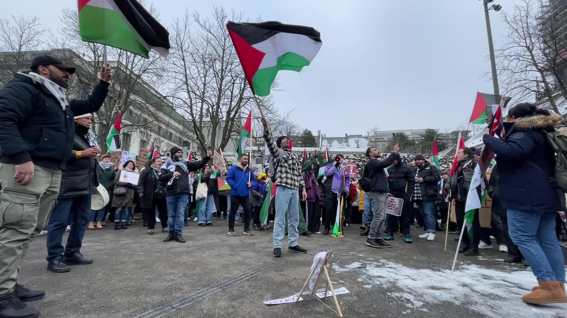National Demonstration In Support of Palestine