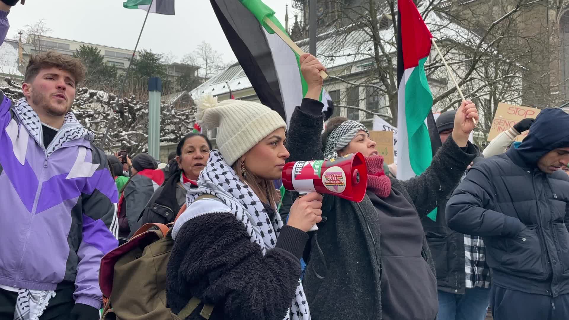 National Demonstration In Support of Palestine