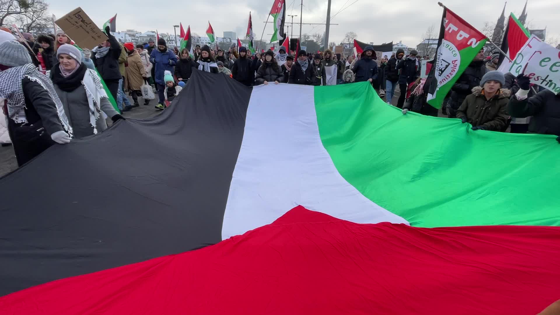 National Demonstration In Support of Palestine