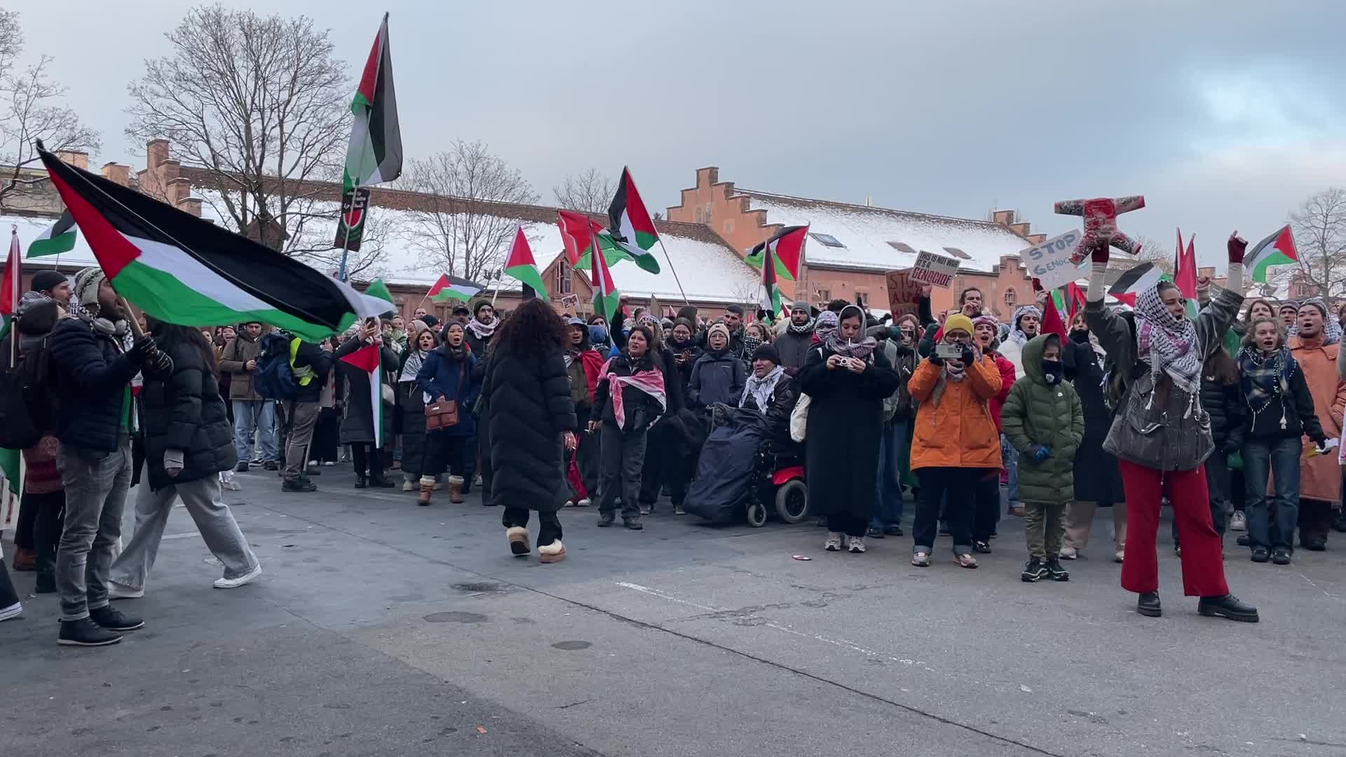 National Demonstration In Support of Palestine