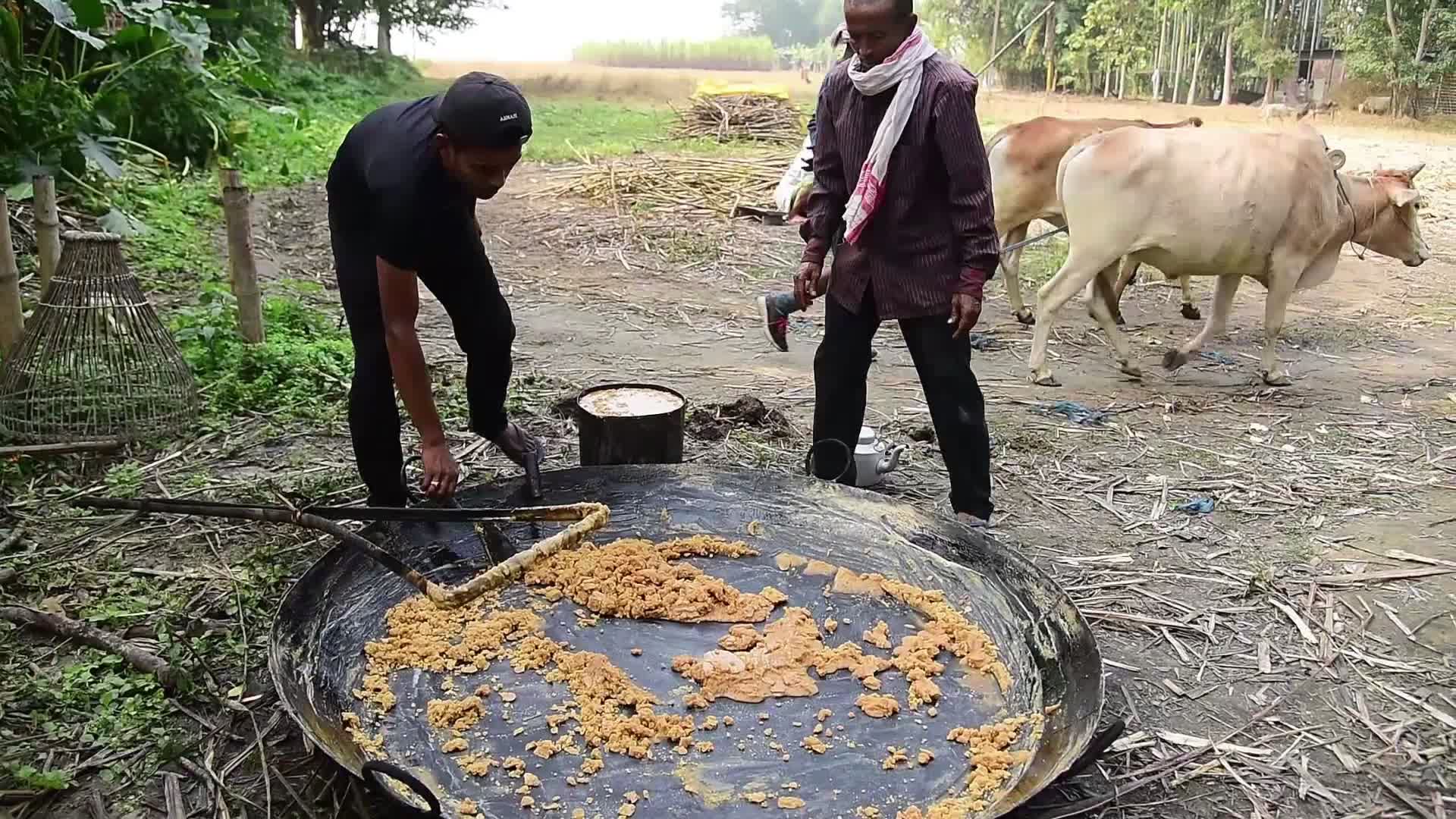 Process of making Jaggery from Sugarcane in India 