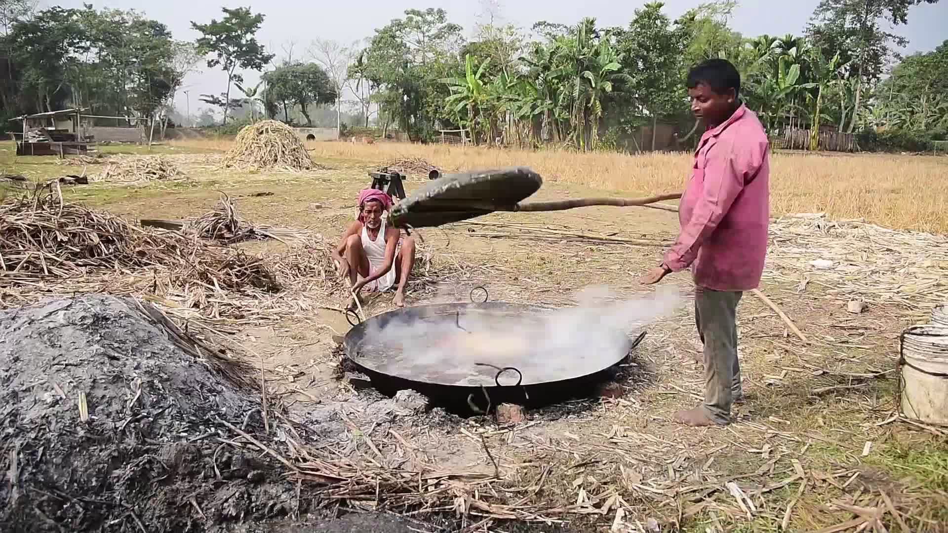 Process of making Jaggery from Sugarcane in India 