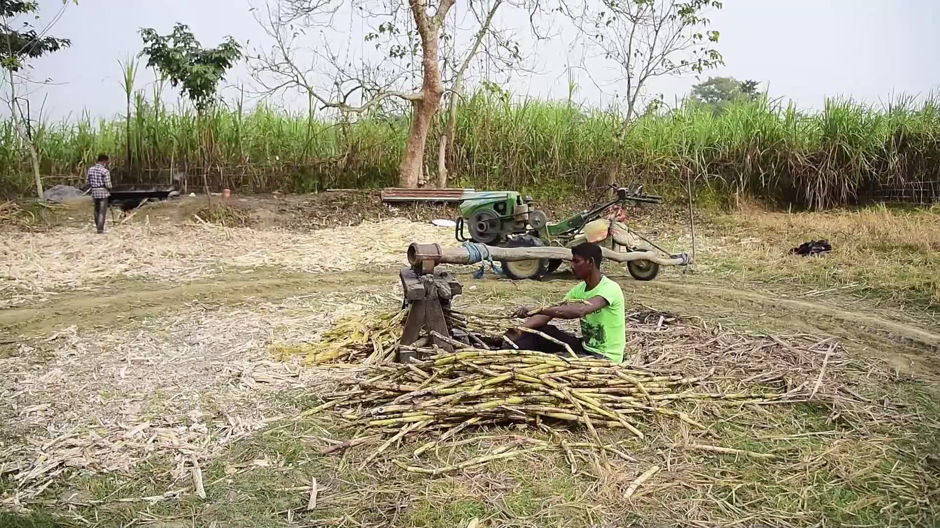 Process of making Jaggery from Sugarcane in India 