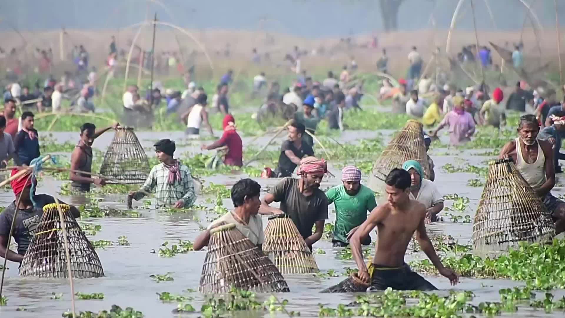 Magh Bihu festival in India