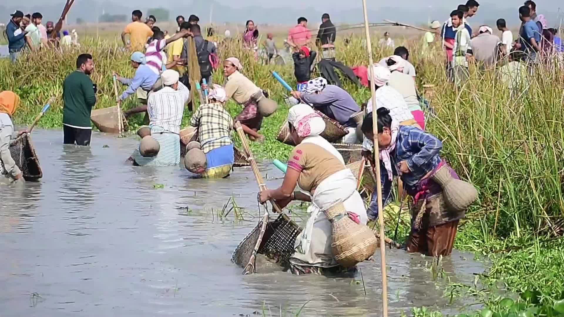 Magh Bihu festival in India