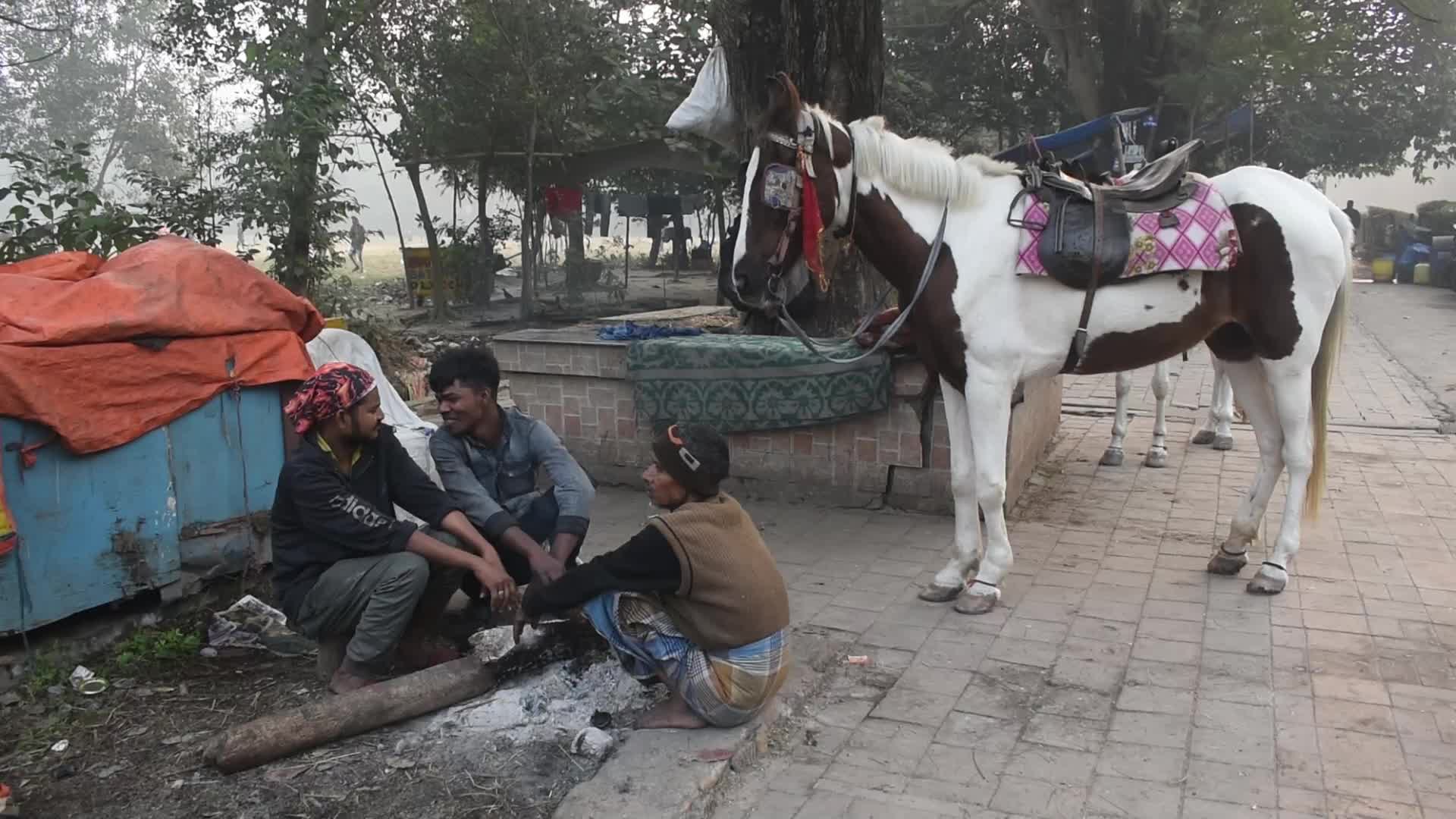 Winter in India