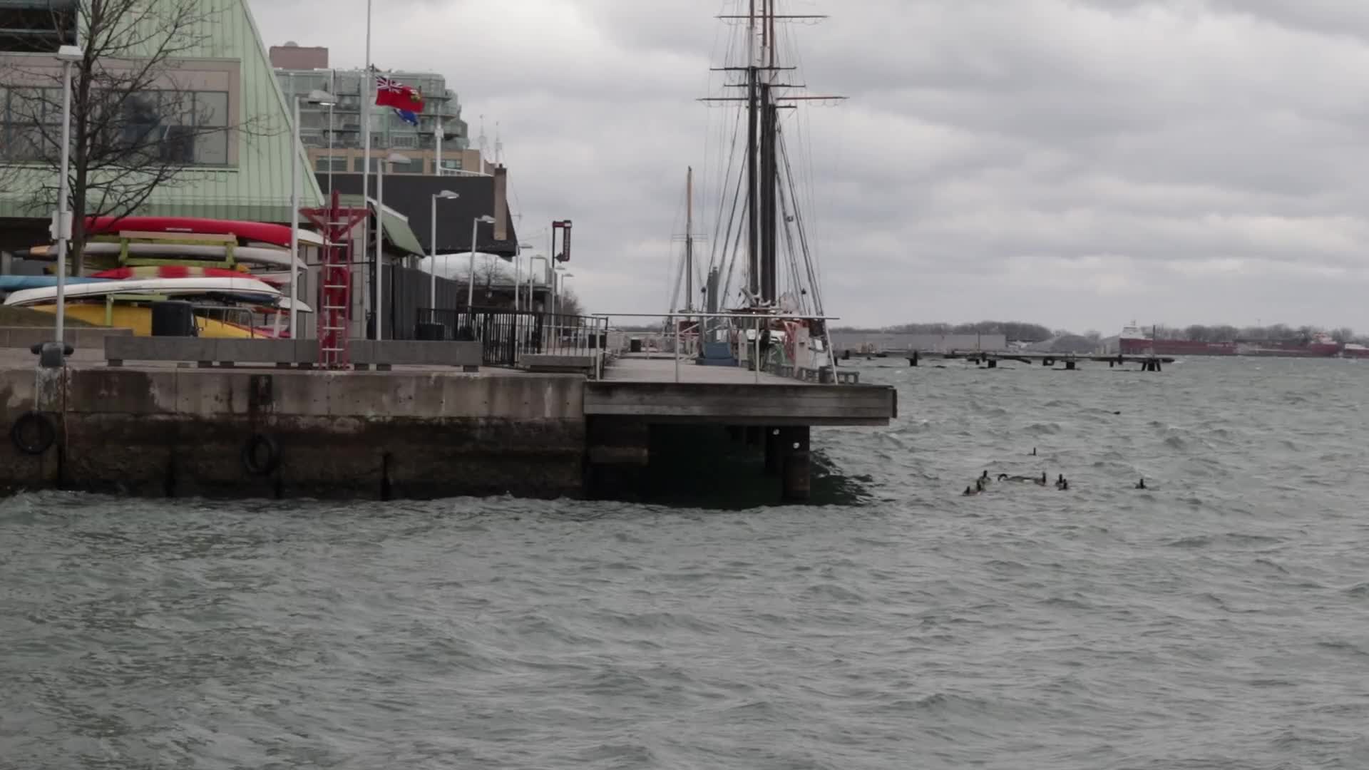 Strong Wind In Toronto, Canada