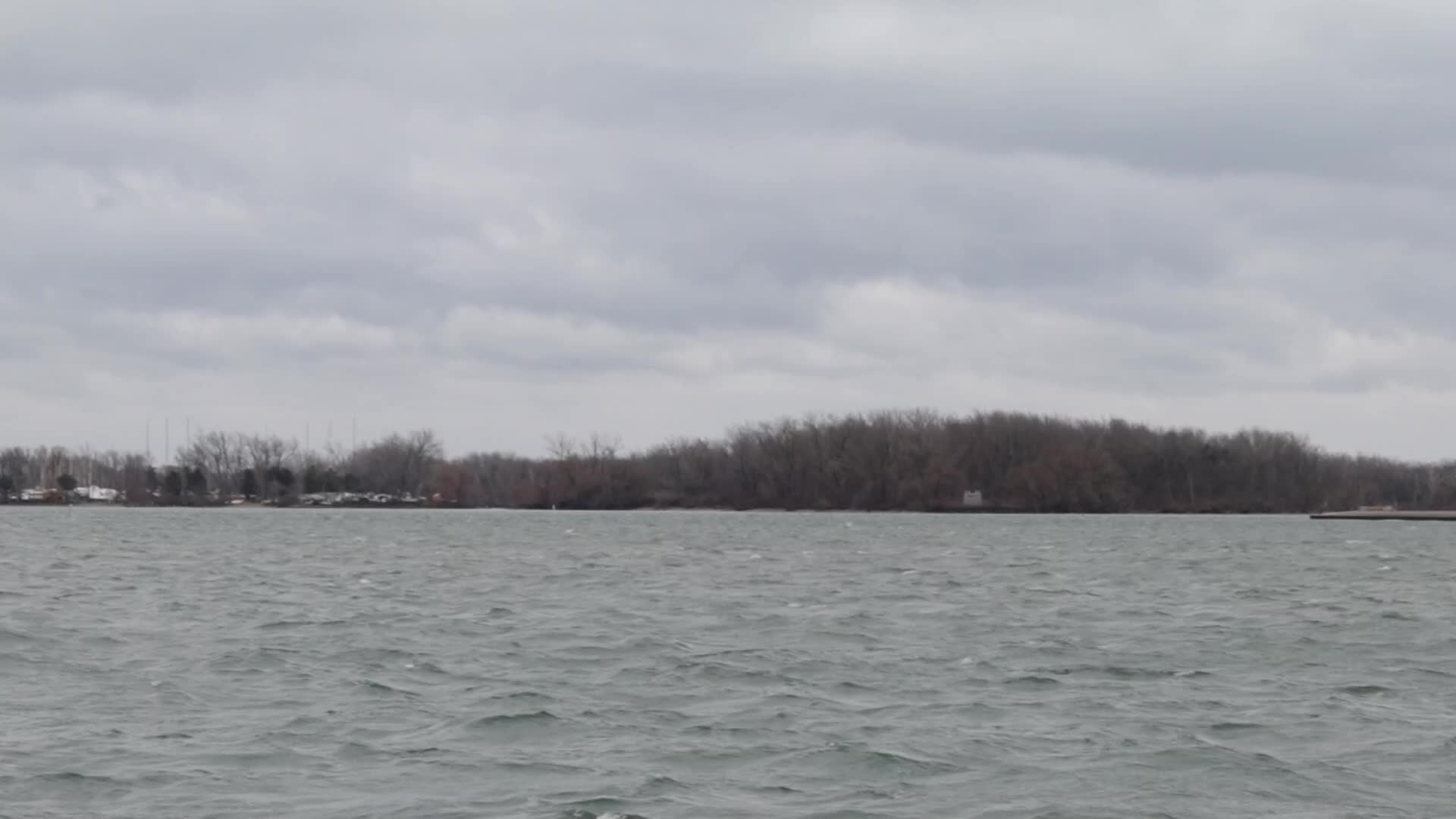Strong Wind In Toronto, Canada