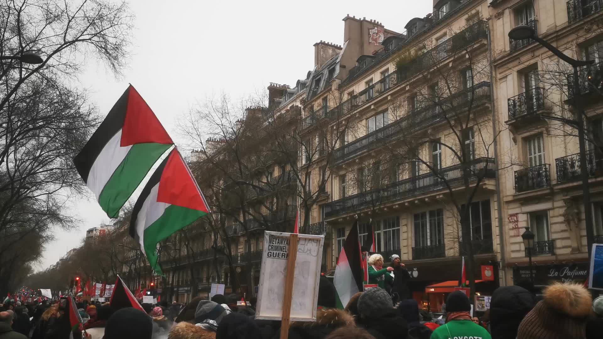 Demonstration in Paris for a Ceasefire in Gaza Palestine