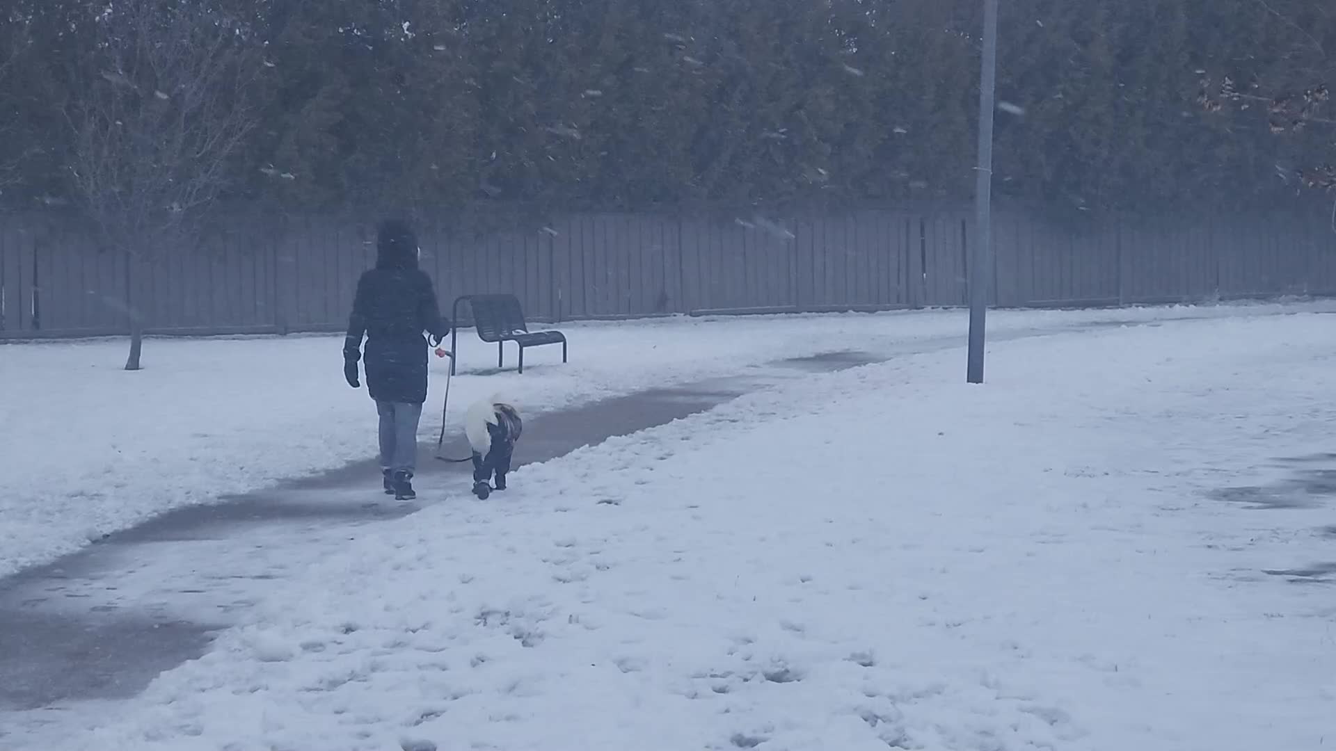 Bone-chilling cold temperatures in Toronto, Canada