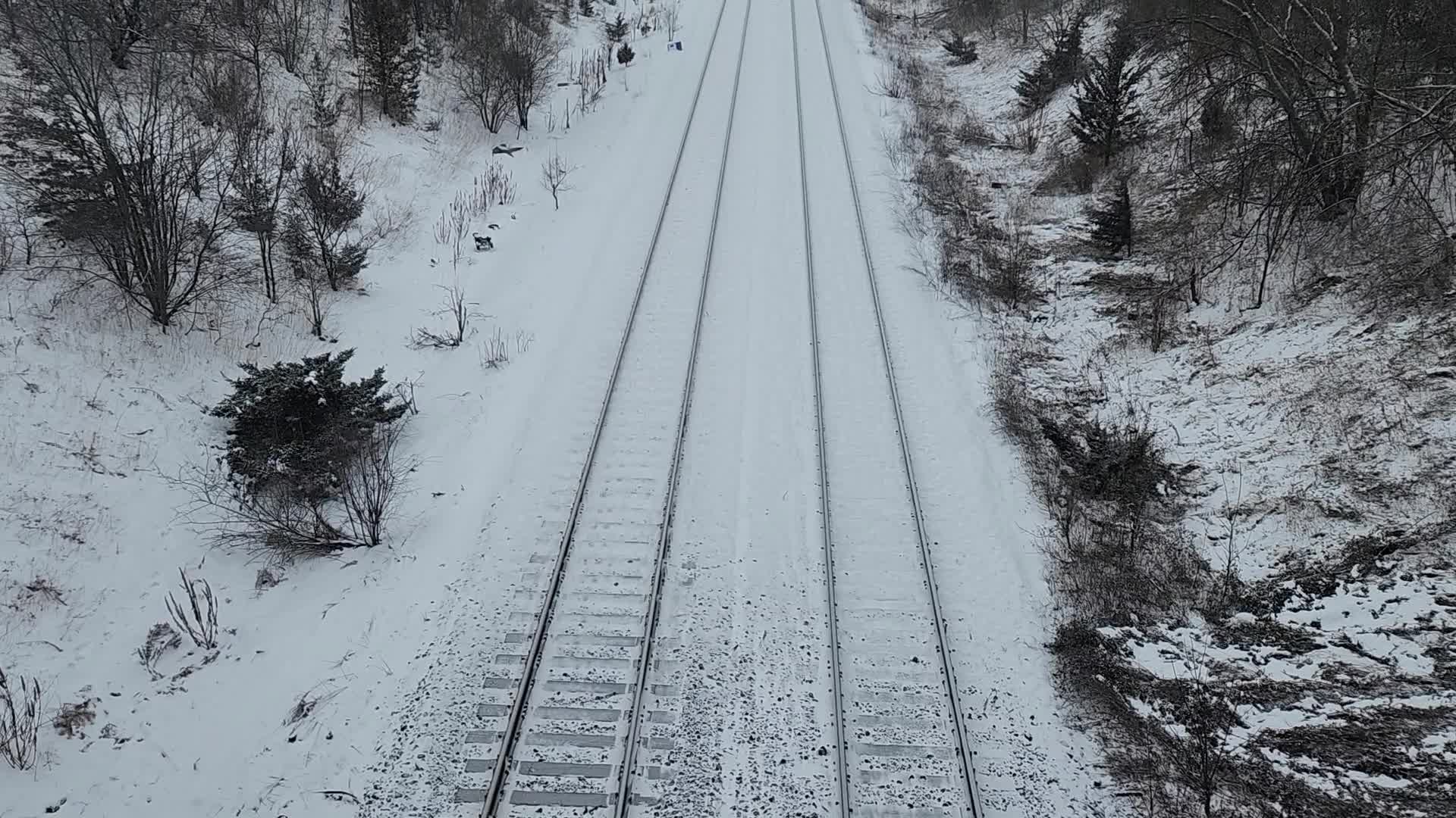 Frigid temperatures and snowy weather continue in Toronto