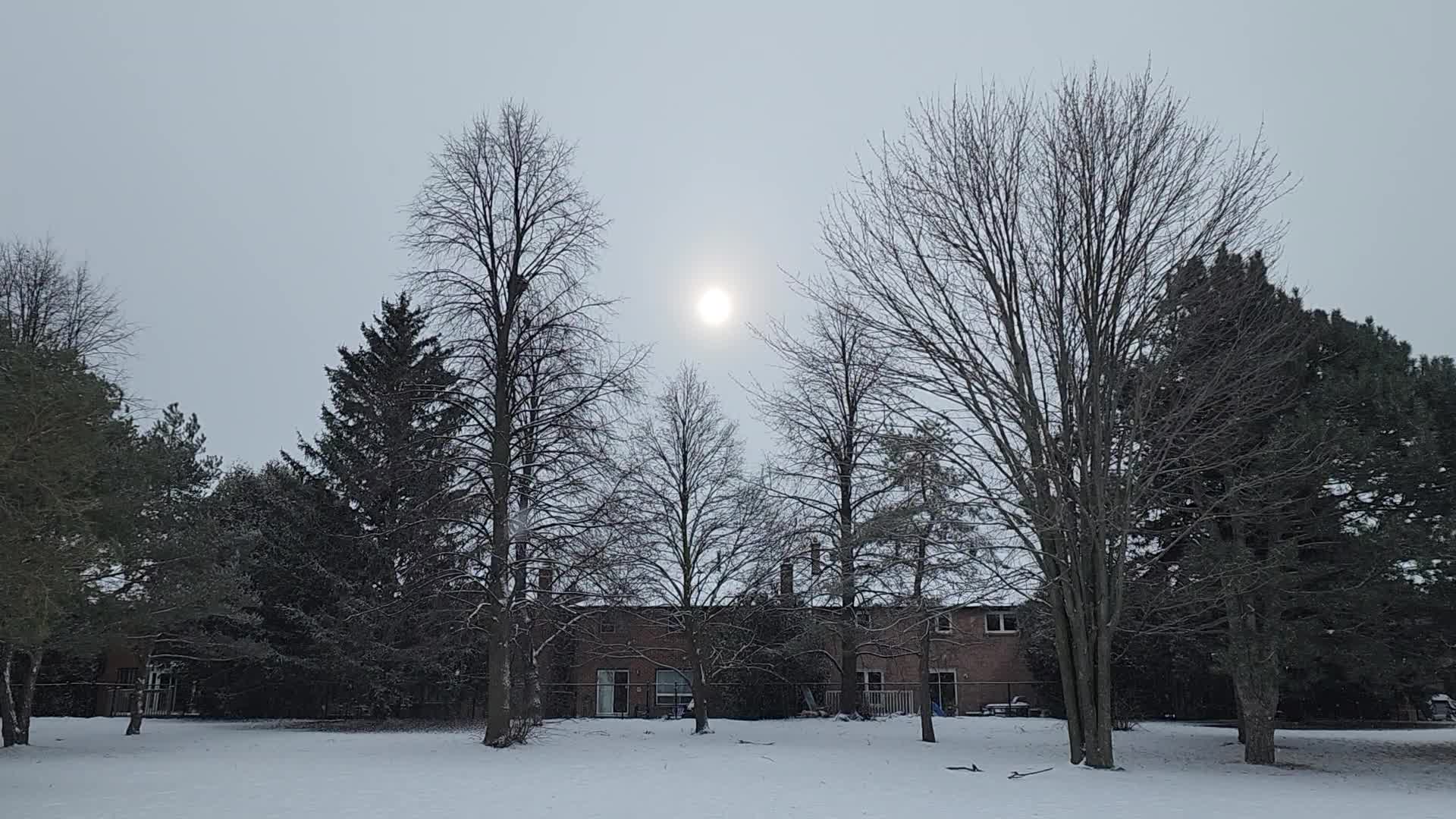 Frigid temperatures and snowy weather continue in Toronto