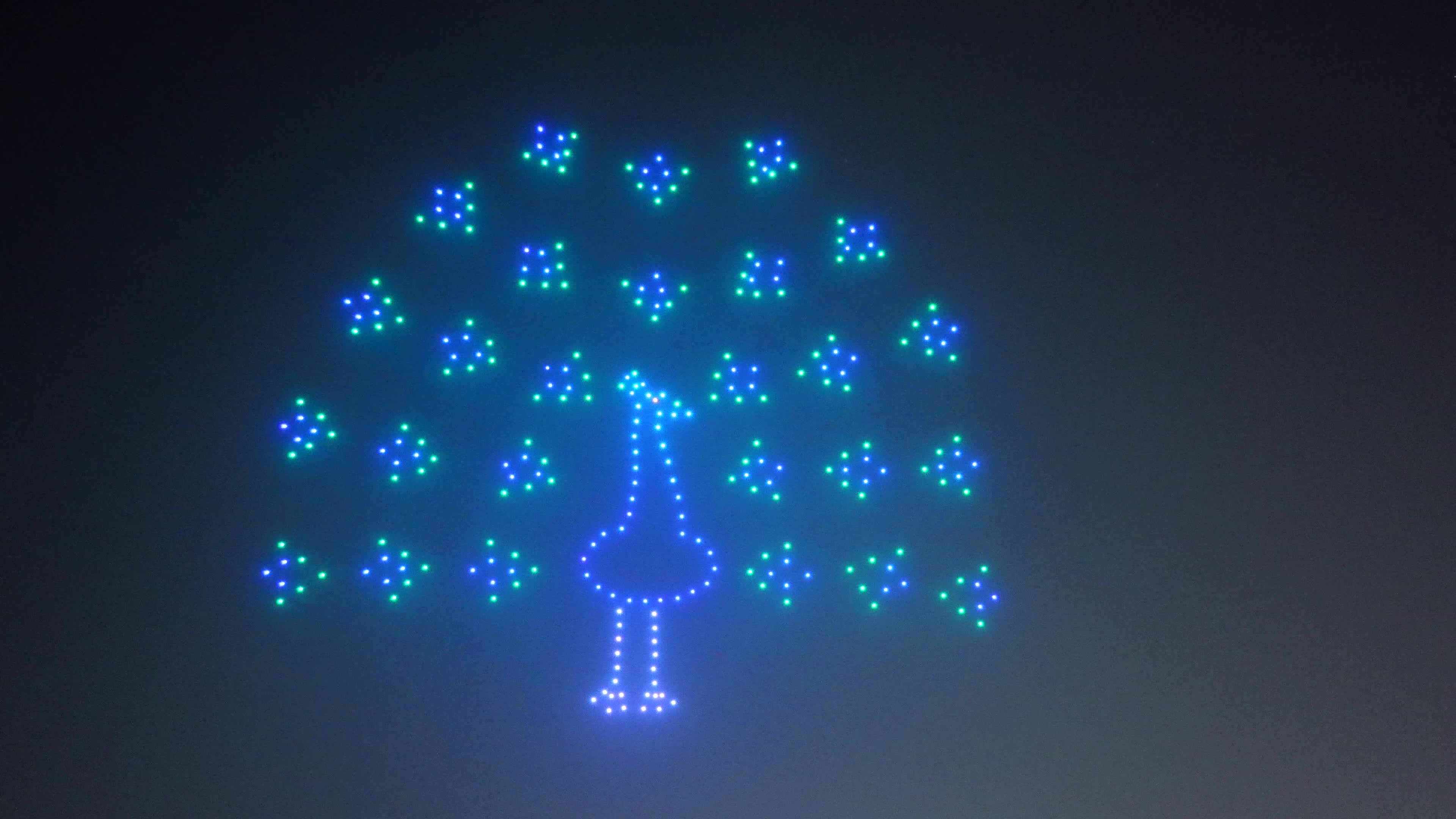 Drone Show -Cyber Hackathon 1.0 in Jaipur