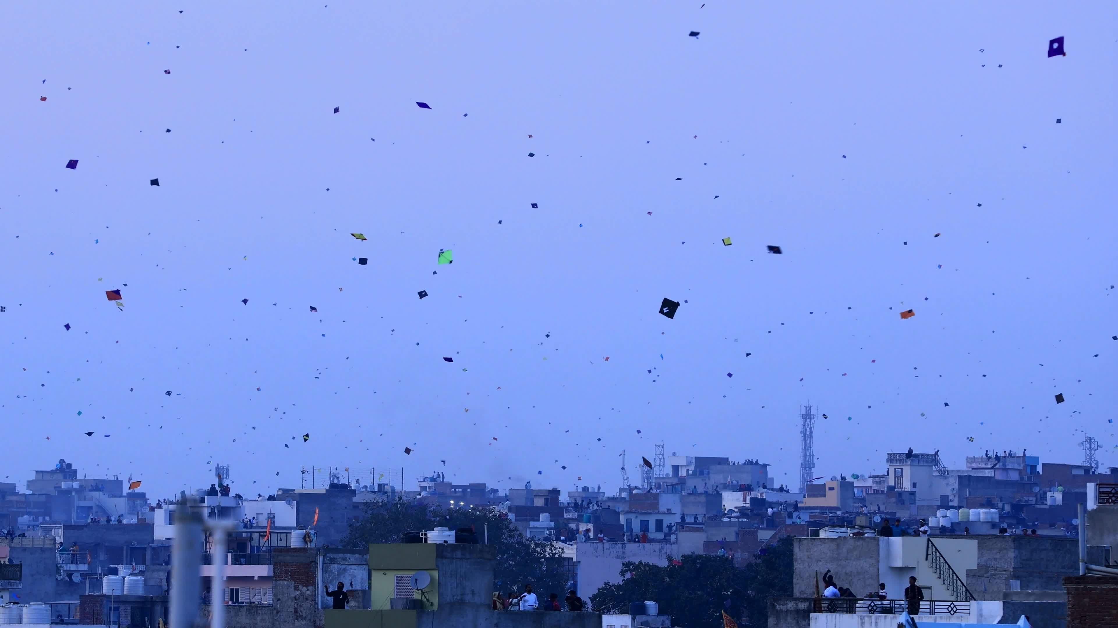 Makar Sankranti Festival Celebration In Jaipur 