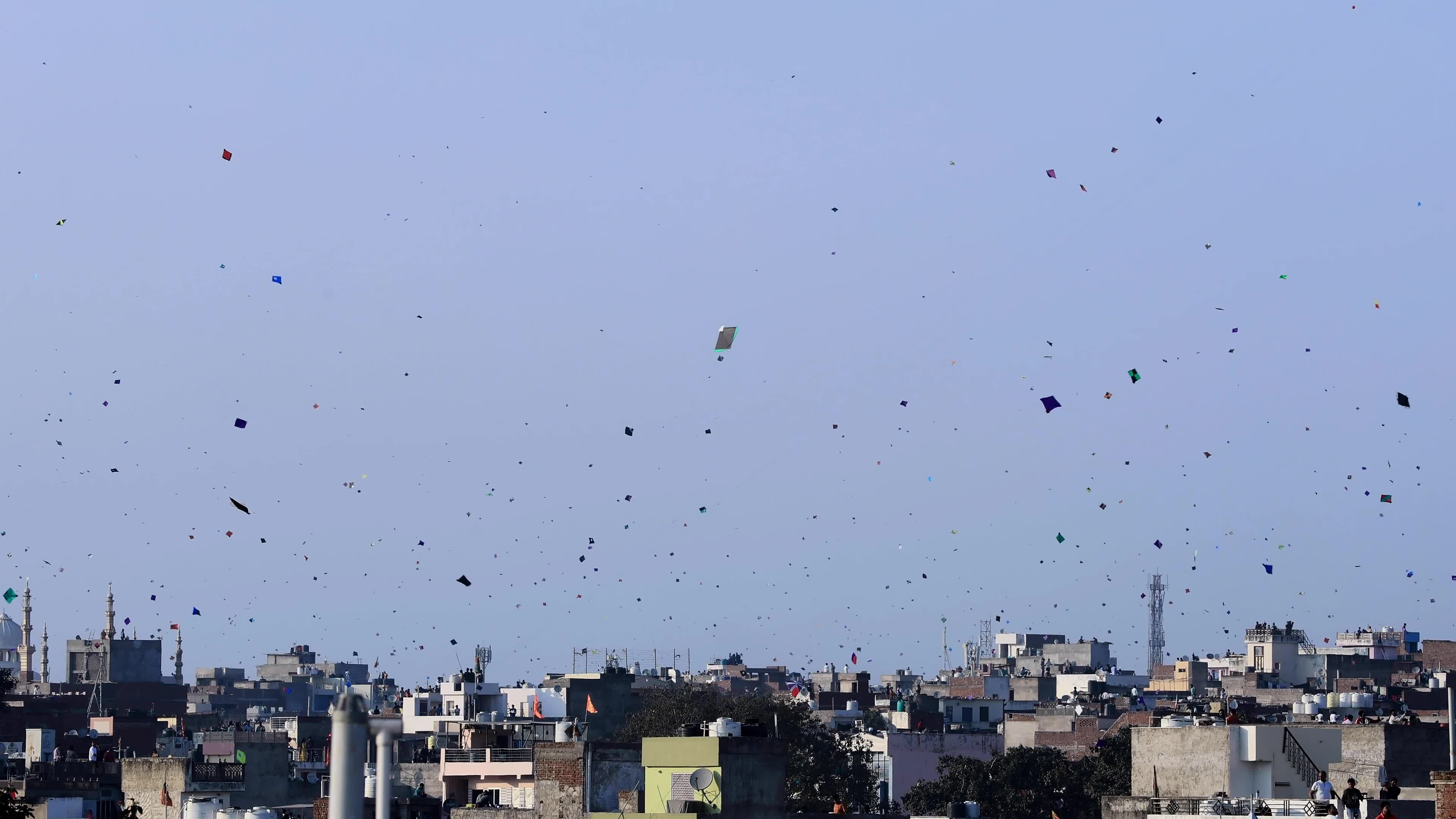 Makar Sankranti Festival Celebration In Jaipur 